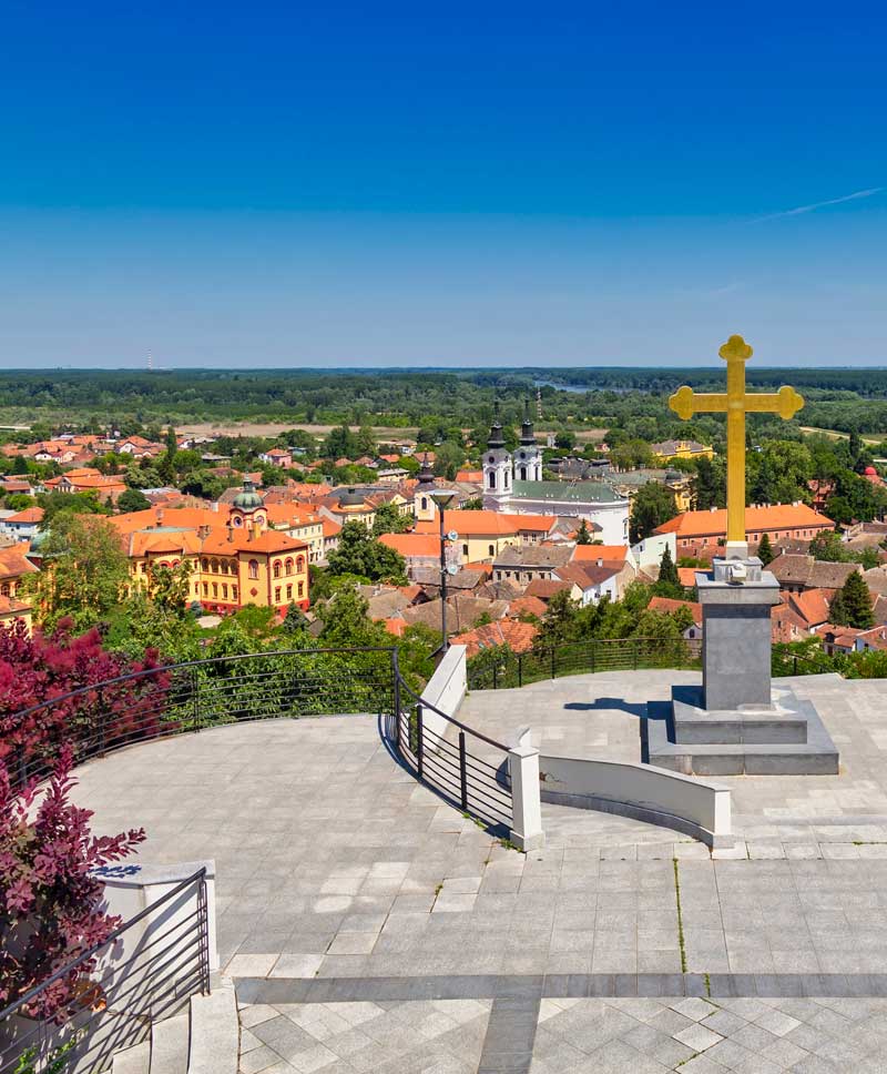 Duško's Viewpoint