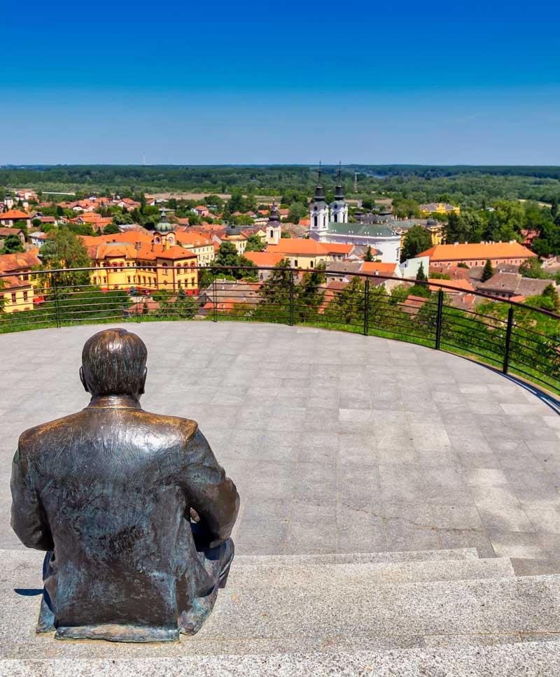 Duško's Viewpoint